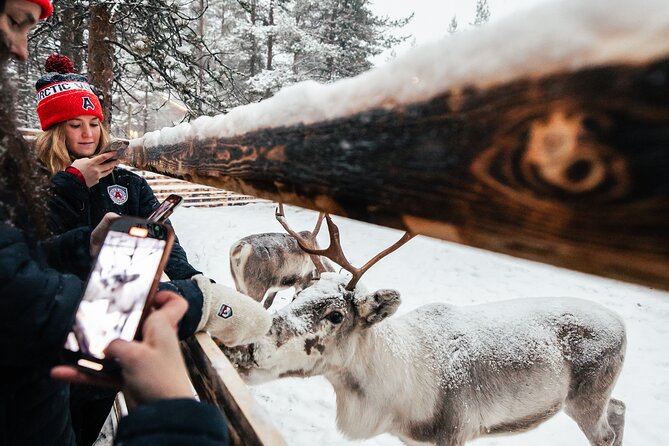 1 Day Pass Lapland Winter Park in Rovaniemi - How the day works for different ages
