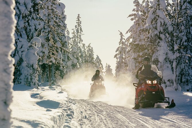 1 Hour Easy Snowmobile Safari in Levi - The cost and what you receive