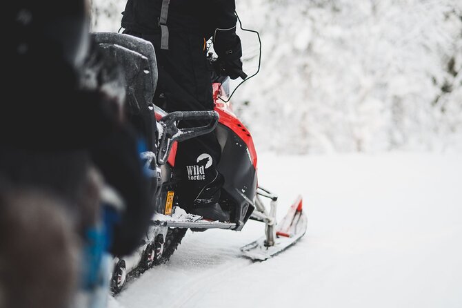 1 Hour Easy Snowmobile Safari in Levi - Who will enjoy this safari most