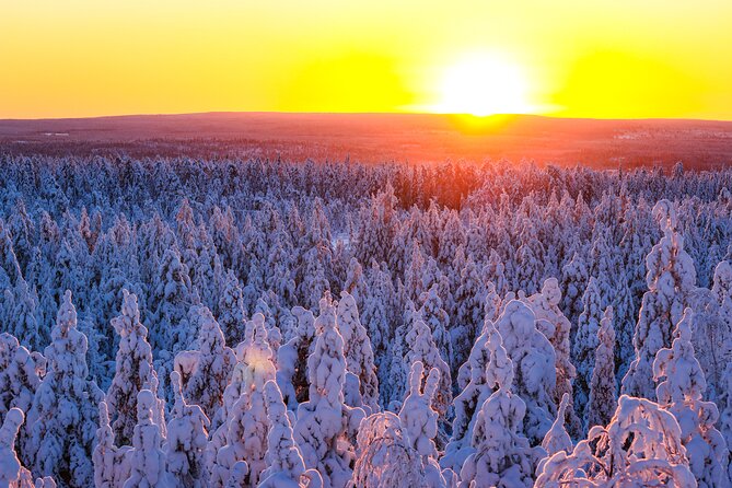 1-Hour Snowmobile Safari Adventure in Rovaniemi - What one hour of riding really gives you