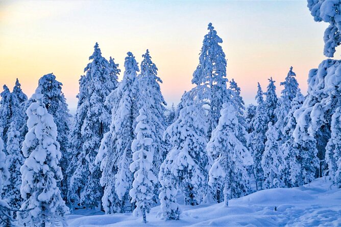 1-Hour Snowmobile Safari Adventure in Rovaniemi - Why the small group limit matters