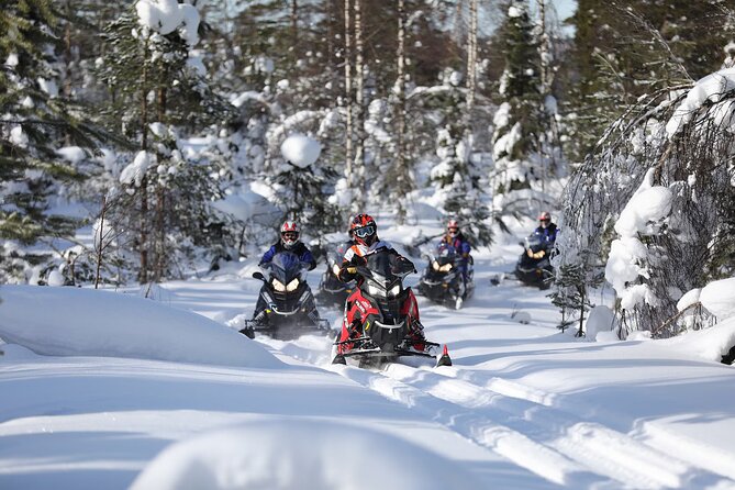 1-Hour Snowmobile Safari Adventure in Rovaniemi - Following the guide into Lapland’s snowy wilderness