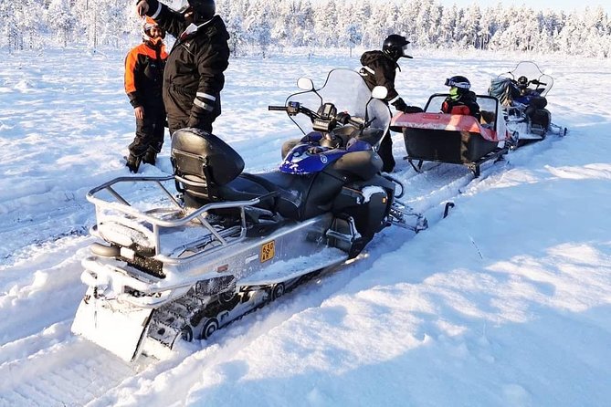 1-Hour Snowmobile Safari Experience - Families, children, and non-drivers