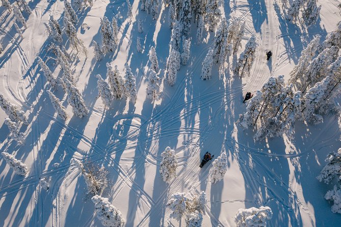 1-Hour Snowmobile Safari Experience - What the $120.15 price delivers