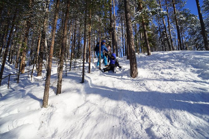 10 km Authentic Husky Safari in the Taiga Forest – Family Kennel - A Long Ride Into the Taiga
