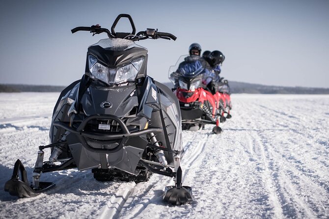 2 Hours Snowmobile Safari to the Levi Nature - Berry juice and the small Lapland pause