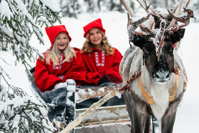 2km Sleigh Ride & Feeding Experience at Traditional Reindeer Farm - Key points to know before booking