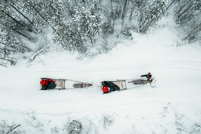 2km Sleigh Ride & Feeding Experience at Traditional Reindeer Farm - A quiet start in Rovaniemi
