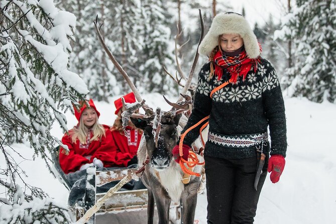 2km Sleigh Ride & Feeding Experience at Traditional Reindeer Farm - Who will enjoy this farm visit most