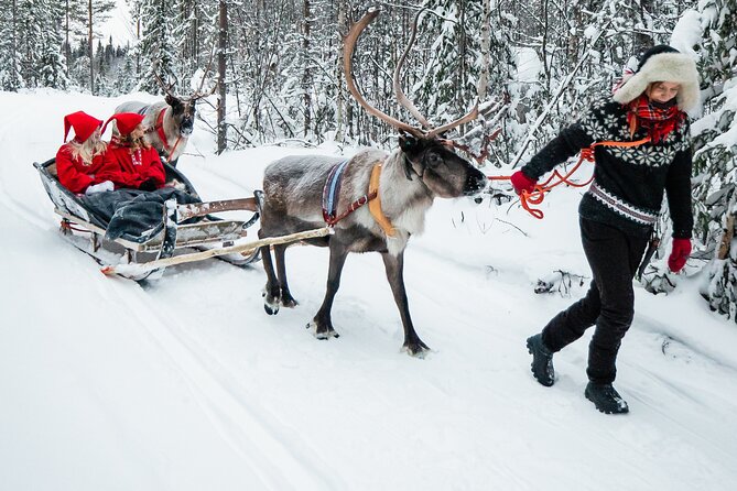 2km Sleigh Ride & Feeding Experience at Traditional Reindeer Farm - Booking, weather, and cancellation advice