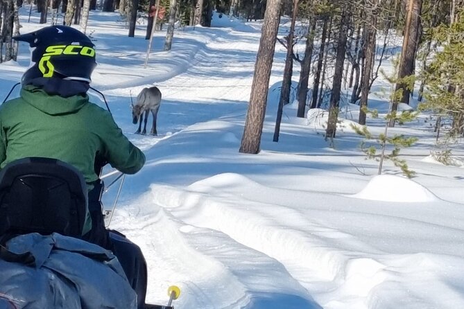 3 Days Raid Snowmobile in Finnish Lapland - The ride back to Rovaniemi