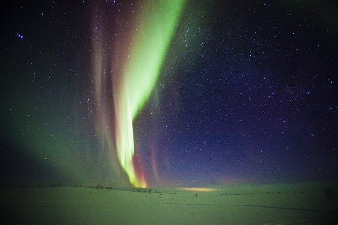3-h Northern Light Safari by Snowmobiles From Levi - Family arrangements and non-drivers