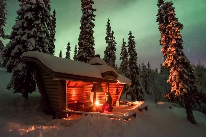 3-h Northern Light Safari by Snowmobiles From Levi - How the price compares with the experience