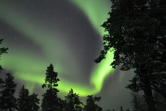 3-Hour Snowmobile Safari to Search Northern Lights in Levi - Searching for the northern lights without false promises