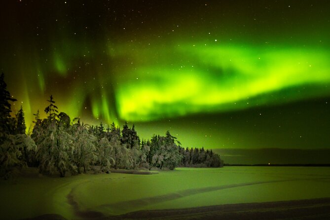 3-Hour Snowmobile Safari to Search Northern Lights in Levi - Children, comfort, and safety limits