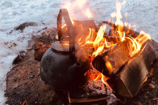 3H Private Snowmobile Experience in Rovaniemi's Forest - What the three-hour itinerary feels like