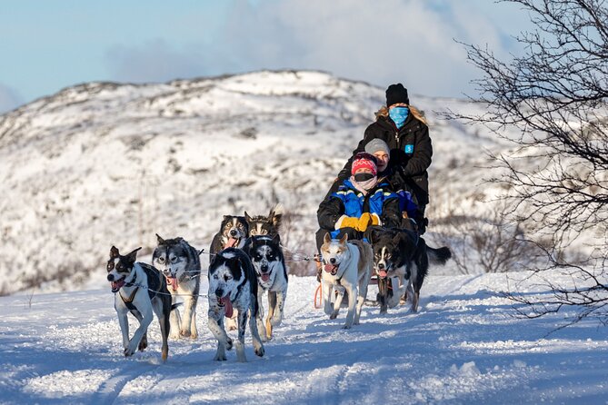 5KM Husky Sled Ride from Levi - What the $234.98 price really covers