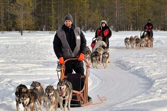 5KM Husky Sled Ride from Levi - Who will enjoy this husky safari most