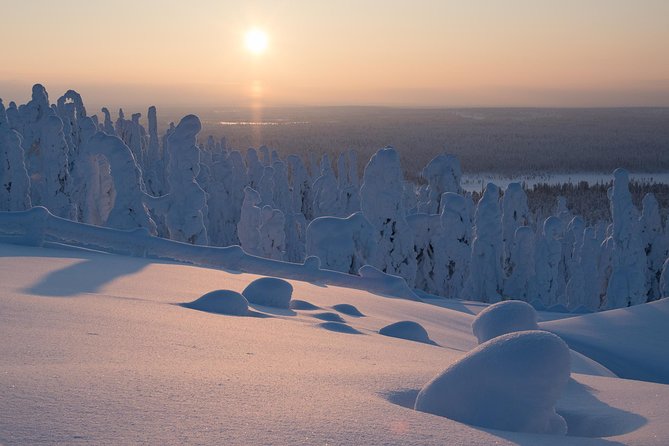 Amethyst Mine Tour by Electric Fatbike - The Lampivaara summit view
