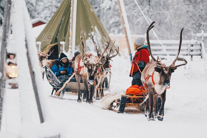 Apukka Reindeer Journey - Is $215.54 a Fair Price?