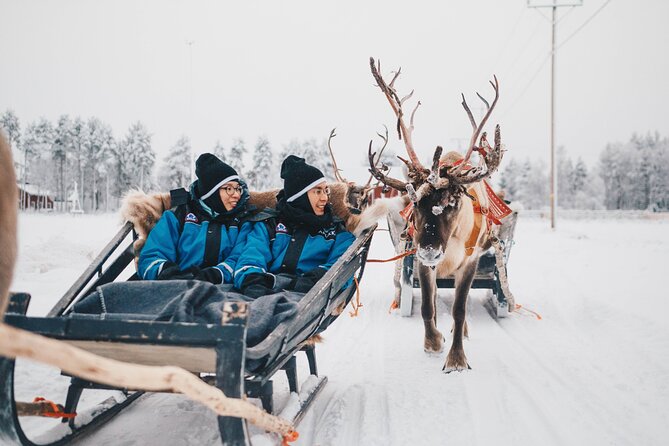 Apukka Reindeer Journey - Group Size, Children, and Accessibility