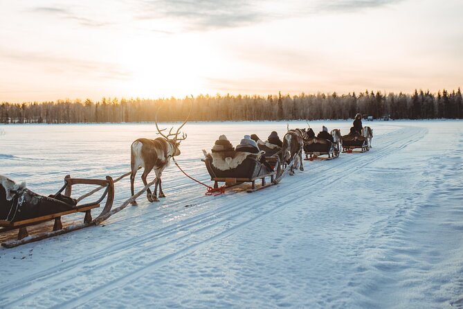 Apukka Reindeer Journey - Riding Through the Forest at a Reindeer Pace
