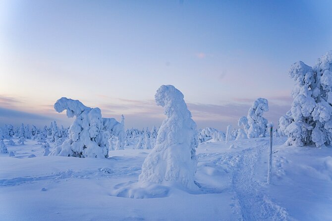 Arctic Adventure through Magical Frozen Forests of Riisitunturi - Why Riisitunturi is worth the long ride