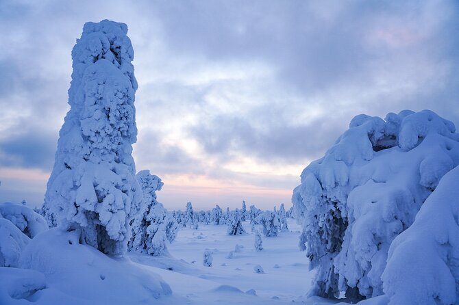 Arctic Adventure through Magical Frozen Forests of Riisitunturi - What the weather can change