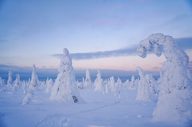 Arctic Adventure through Magical Frozen Forests of Riisitunturi - How the price compares with the experience