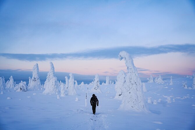 Arctic Adventure through Magical Frozen Forests of Riisitunturi - Leaving Rovaniemi for the Arctic wilderness