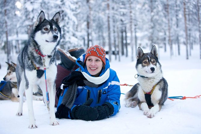 Arctic Circle Family Day - Three Arctic classics packed into five hours