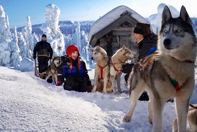 Arctic Circle Family Day - Shared snowmobiling and the twin-driving rule
