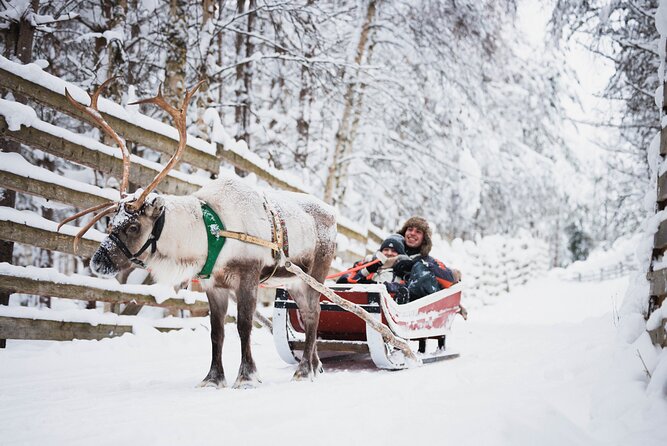 Arctic Circle Highlights Family Day - Key points at a glance