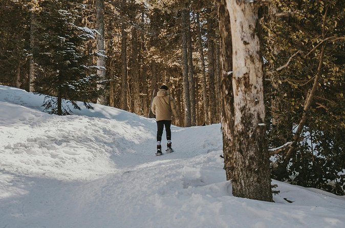 Arctic Darkness & Starlight Adventure with Snowshoes - What to wear for two hours outdoors