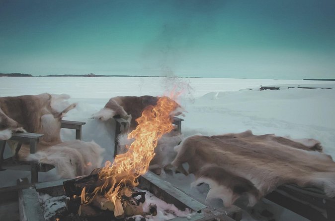 Arctic Darkness & Starlight Adventure with Snowshoes - Who will enjoy this Sodankylä experience