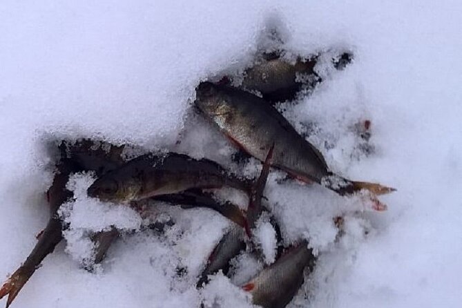 Arctic Day with Ice Fishing and Floating - Ice fishing is quiet, simple, and surprisingly special