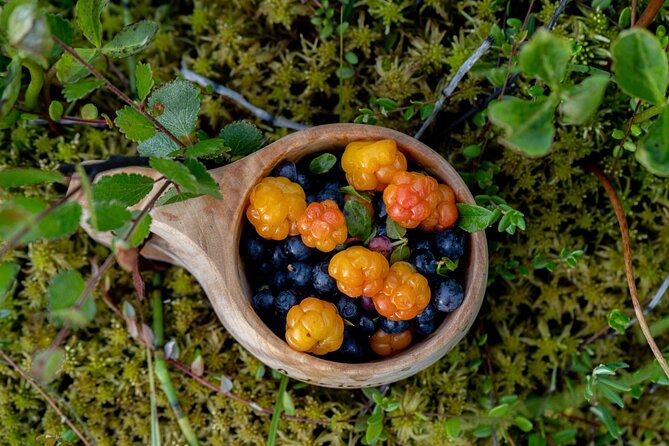 Arctic Wilderness Hike with Fire-making - The walk: footprints, trees, mushrooms, and forest signs