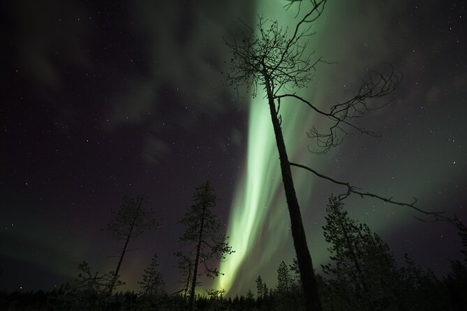 Aurora Borealis Picnic in Rovaniemi - Who will enjoy this Rovaniemi tour?