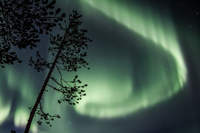 Aurora Borealis Picnic in Rovaniemi - Practical details that can save you trouble