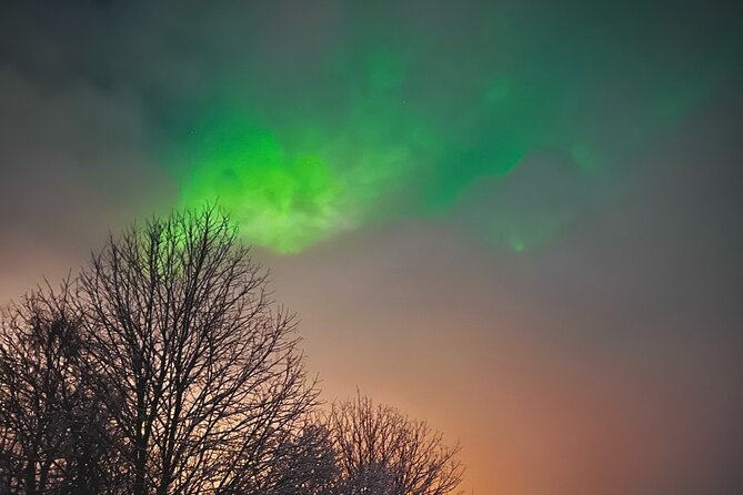 Aurora Hunt with BBQ in Rovaniemi - What the three-hour evening actually feels like