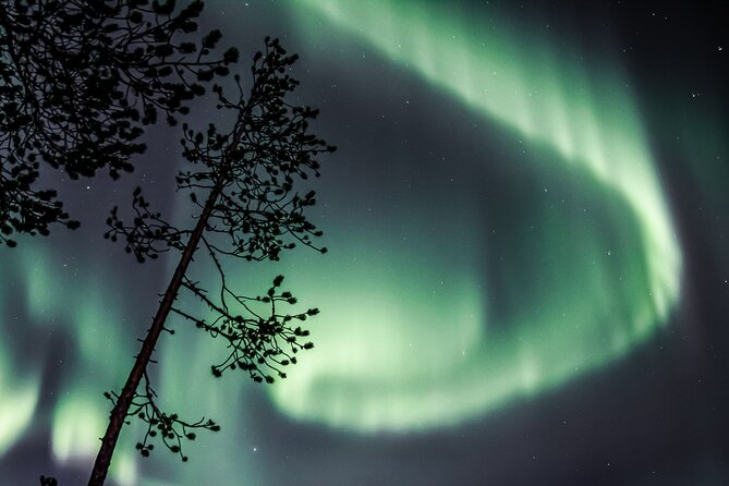 Aurora Hunting Photo Tour from Rovaniemi with Pickup - What happens during the four-hour outing