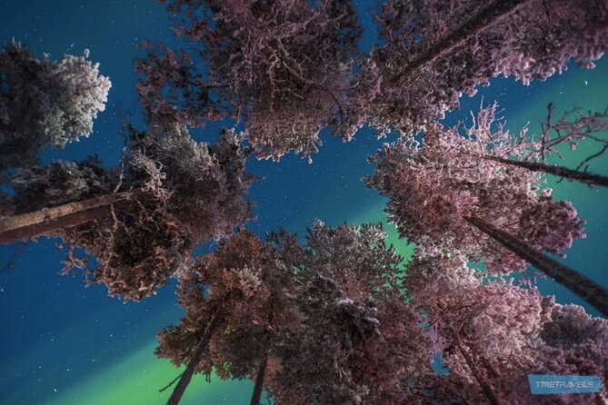 Aurora Photography Tour 3 HOURS - The waiting game under a Finnish sky