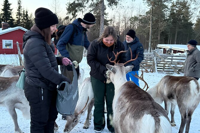 Authentic Reindeer Experience and Ice Fish with Lunch in the Wild - Clothing, Comfort, and Winter Practicalities