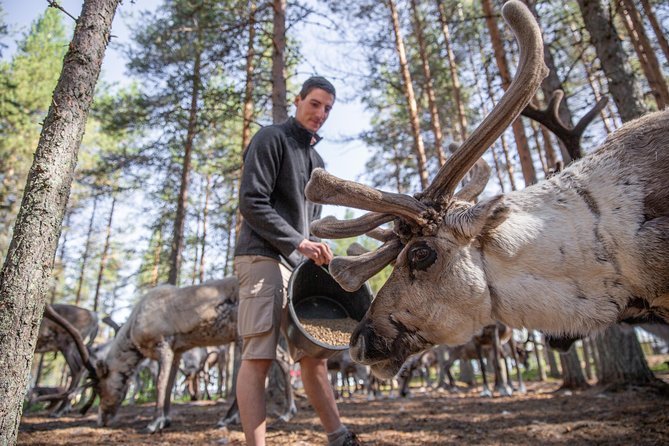 Authentic Reindeer Farm and Canoe Experience from Rovaniemi - Why this reindeer and canoe combination works