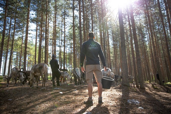 Authentic Reindeer Farm and Canoe Experience from Rovaniemi - Coffee, cookies, and a fire in the kota
