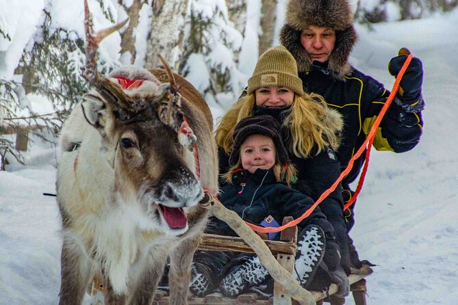 Authentic Reindeer Farm Experience in Rovaniemi - Small groups and the value of personal attention