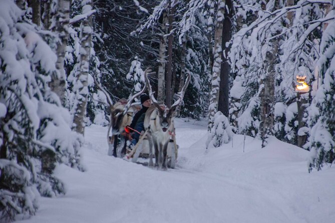 Authentic Reindeer Farm Experience in Rovaniemi - Who will enjoy this farm visit most?