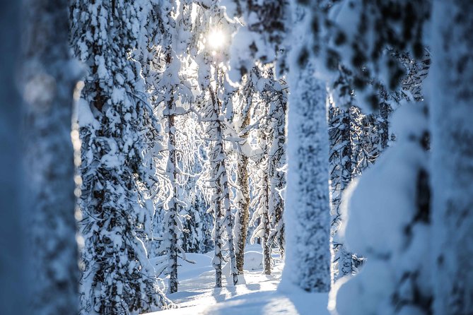 Backcountry skiing adventure - What the scenery is really like