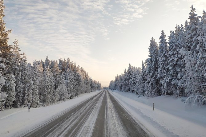 Best Of Lapland: Sauna, Ice swimming, Dinner & Northern Lights - The cold-water plunge, and how to handle it