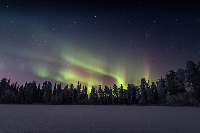 Best Of Lapland: Sauna, Ice swimming, Dinner & Northern Lights - Who should book this Lapland experience?